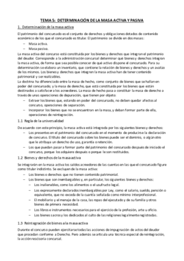 Tema 5 - Determinación Masa activa y pasiva.pdf