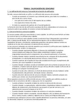 Tema 8 - Calificación del concurso.pdf