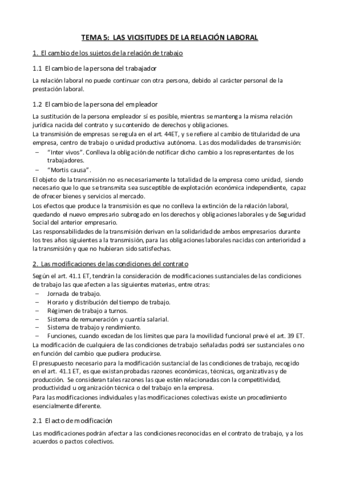 Tema 5 - Vicisitudes de la relación laboral.pdf