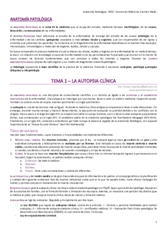 PRIMER-PARCIAL-SIN-SEMINARIOS.pdf