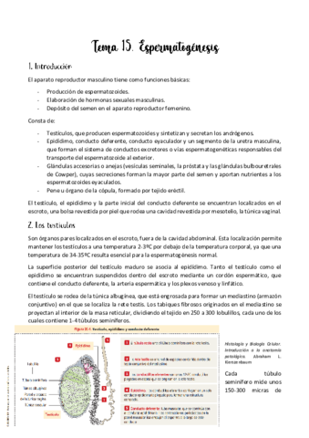 Tema-15.pdf