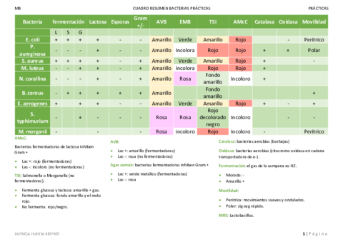 Cuadro-resumen-bacterias-practicas.pdf