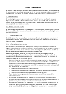 Tema 5 - Common Law.pdf