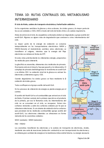 BIOQ.pdf