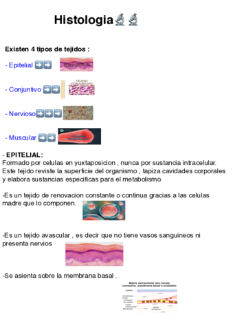 Histologia-.pdf
