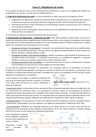 Tema-11-Planificacion-de-Vuelos.pdf