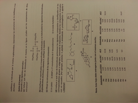 Examen previo 2013.2.jpg