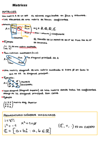Matrices-espanol.pdf