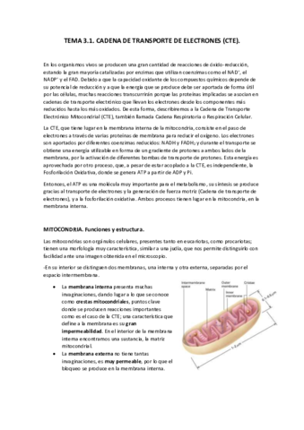 Tema-3.pdf
