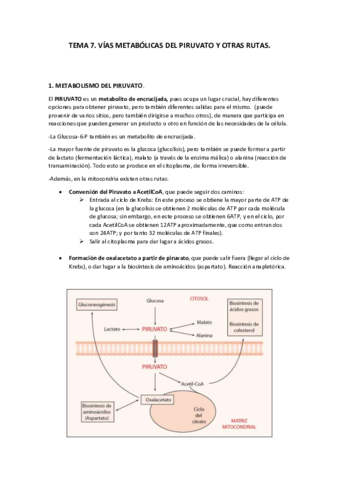Tema-7.pdf