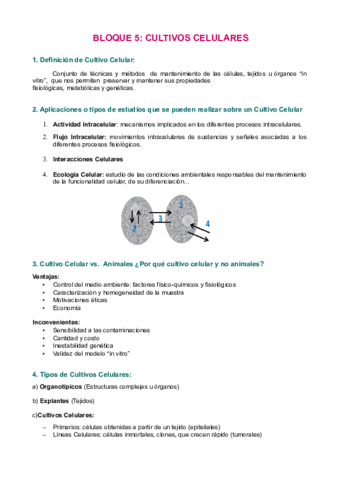 bloque-5.pdf