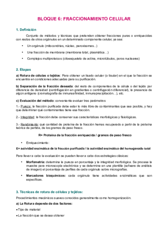 Bloque-6.pdf
