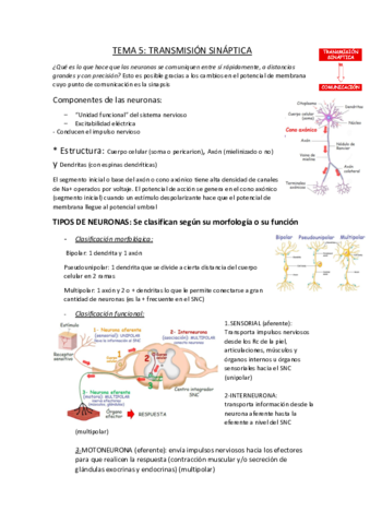 TEMA-5.pdf