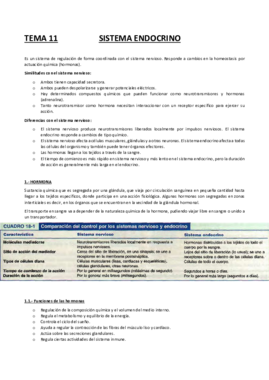 TEMA 11                    SISTEMA ENDOCRINO.pdf
