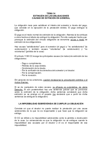 TEMAS-14-CIVIL-II.pdf