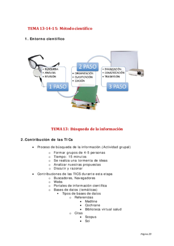 TEMAS-131415-TIC.pdf