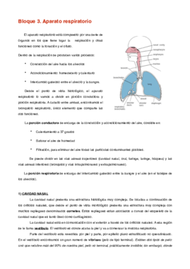 Bloque 3.pdf
