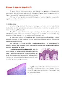 Bloque 4 (I) .pdf