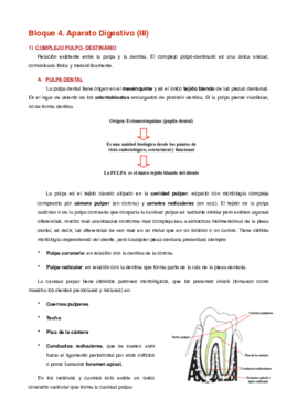 Bloque 4 (III).pdf