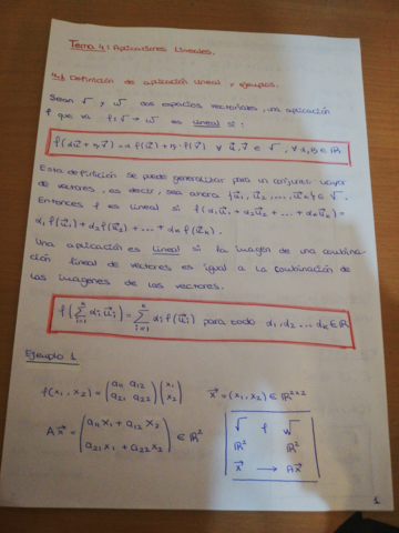 Resumen-tema-APLICACIONES-LINEALES.pdf