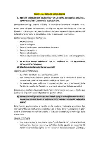 TEMA-5-teorias.pdf