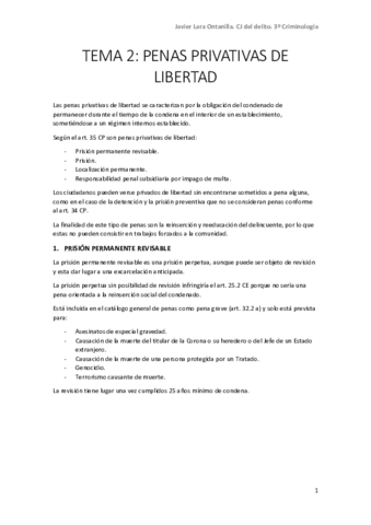 TEMA-2.pdf
