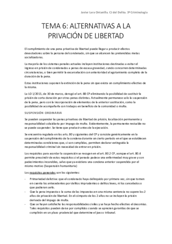 TEMA-6.pdf