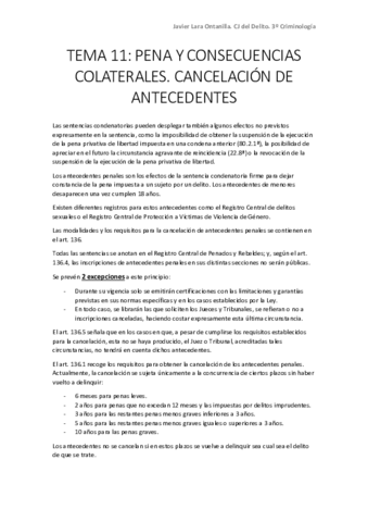 TEMA-11.pdf