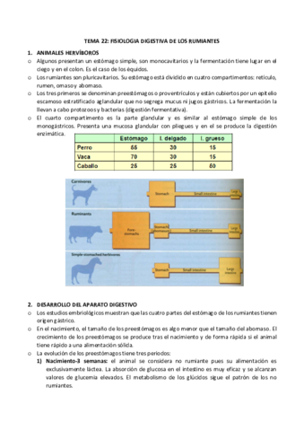 22-rumiantes.pdf