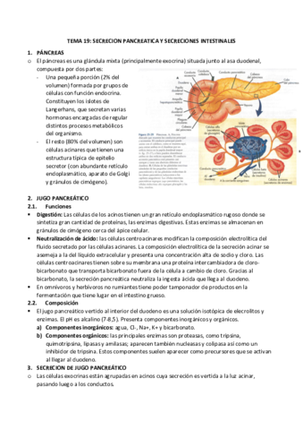 19-secrecion-pancreatica-e-intestinal.pdf