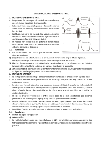 20-motilidad-gastrointestinal.pdf