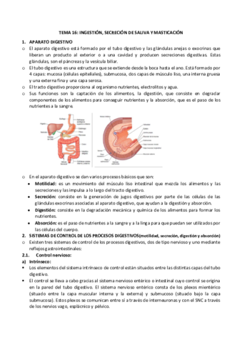 16-saliva-y-masticacion.pdf
