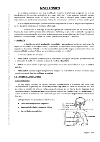 NIVEL-FONICO.pdf