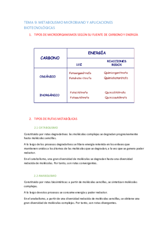 TEMA-9-apuntes.pdf
