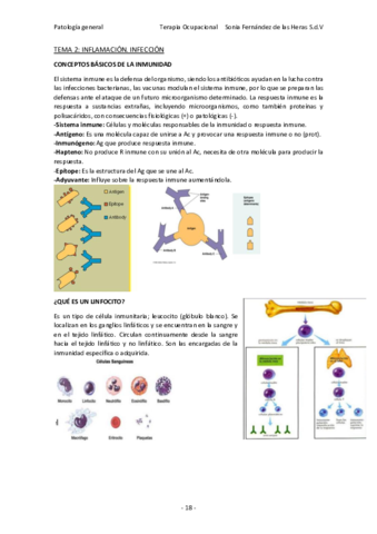 TEMA-2.pdf