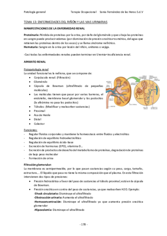 tema-13-2.pdf