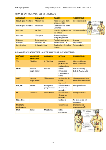tema-11-aa.pdf