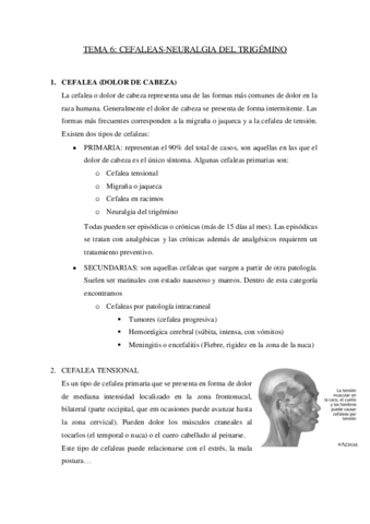 TEMA-6.pdf