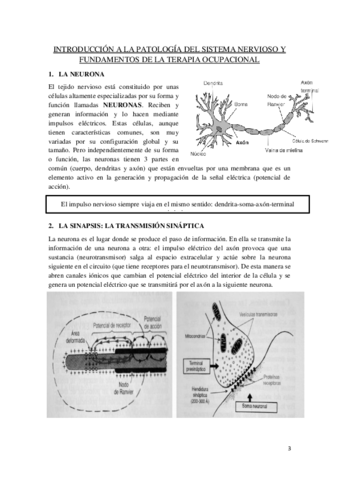 TEMA-1.pdf