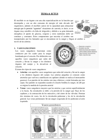 TEMA-4-ictus.pdf