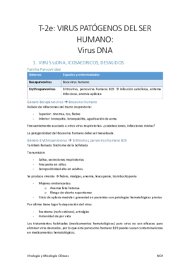 2e. Virus patogenos.pdf