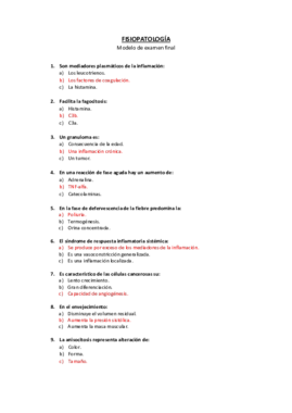 Modelo examen final 2.pdf