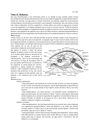 Tema 8 moluscos.pdf