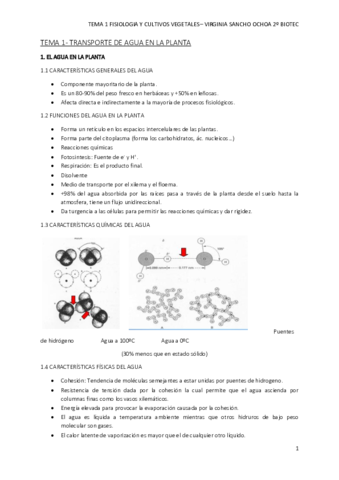 TEMA-1.pdf