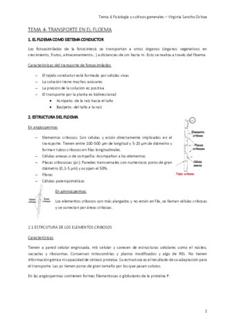TEMA-4.pdf
