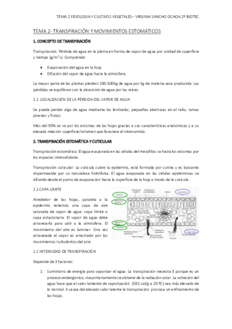 TEMA-2.pdf