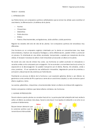 TEMA-9.pdf