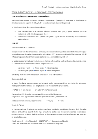TEMA-5.pdf