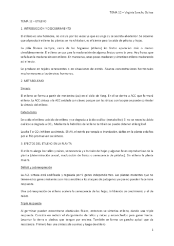 TEMA-12.pdf