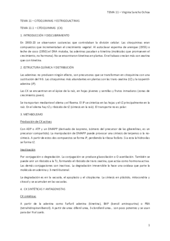 TEMA-11.pdf